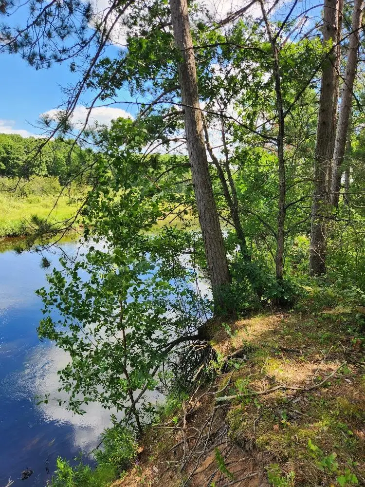 On PRAIRIE LAKE ROAD #Lots 5-8, Tomahawk, WI 54487 - #2