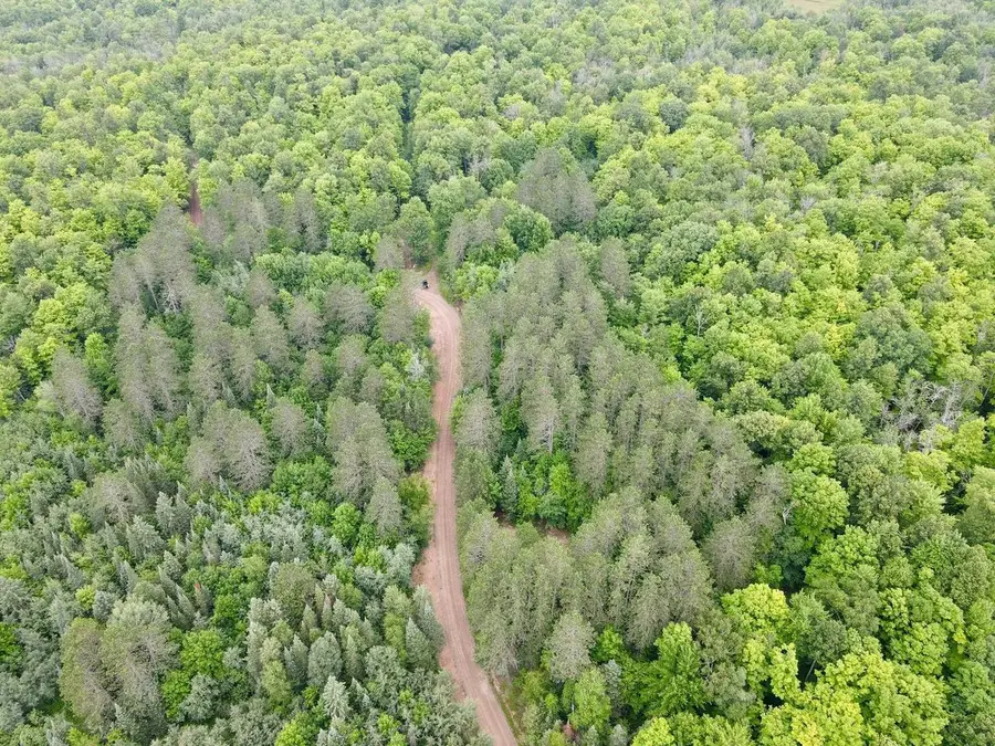 Lot 2 DAVID ROAD, Gleason, WI 54435 - #2