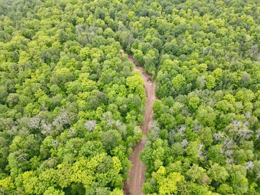 Lot 3 DAVID ROAD, Gleason, WI 54435 - #2