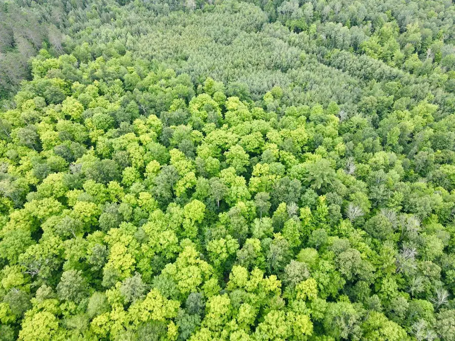 Lot 3 DAVID ROAD, Gleason, WI 54435 - #3