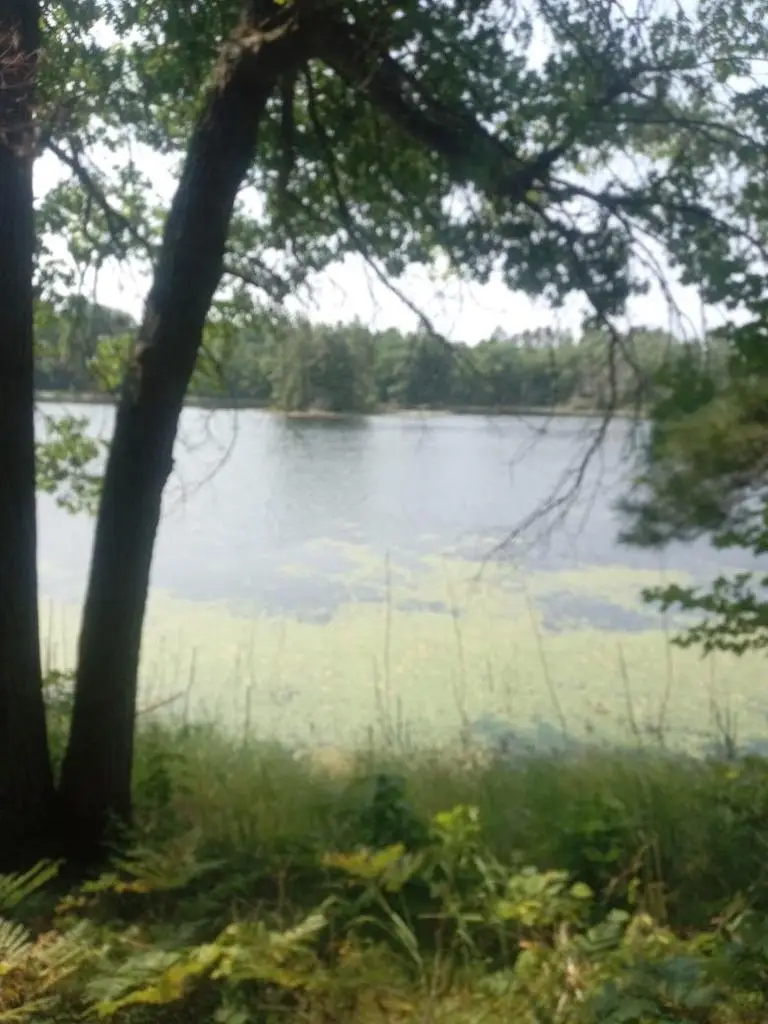 1505 SWALLOW LANE, Lac Du Flambeau, WI 54538 - #1