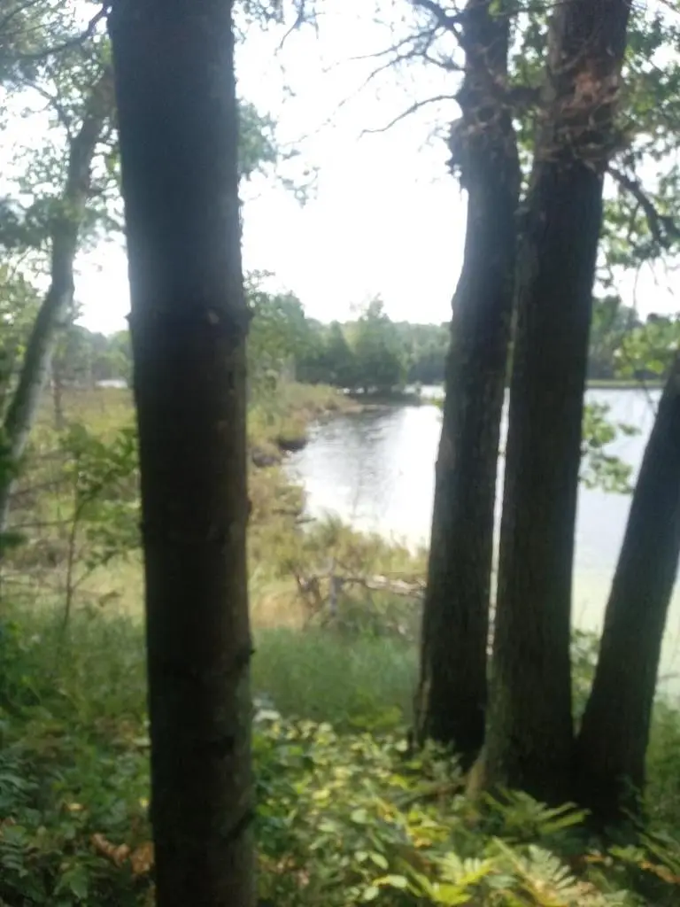 1505 SWALLOW LANE, Lac Du Flambeau, WI 54538 - #2