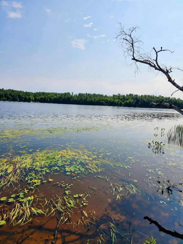 On W AMBER LAKE ROAD #Lot 1, Lac Du Flambeau, WI 54538 - #1