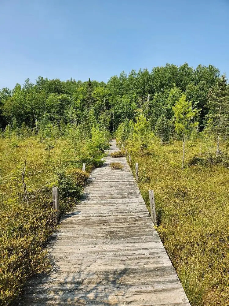 On W AMBER LAKE ROAD #Lot 1, Lac Du Flambeau, WI 54538 - #2