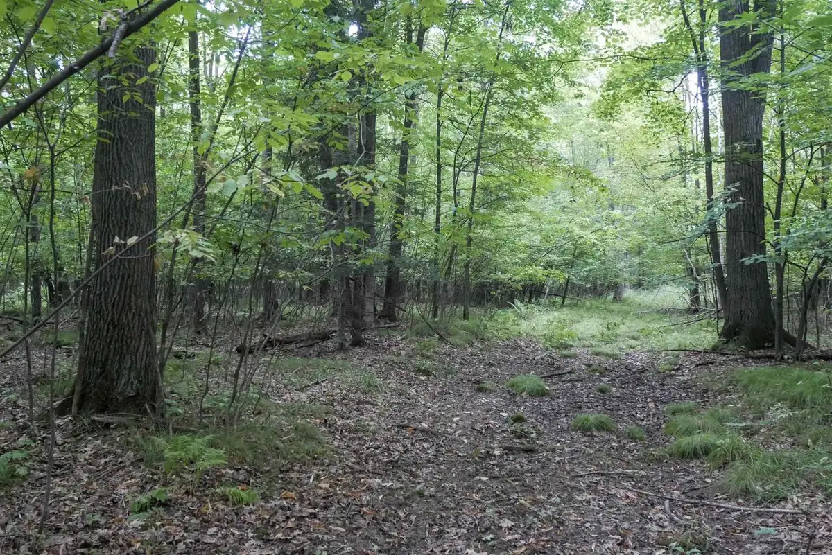 +/-80 Acres PINE AVENUE, Medford, WI 54451 - #1