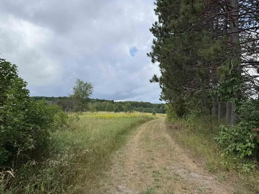 W15976 QUARTER DRIVE, Goodman, WI 54125 - #3