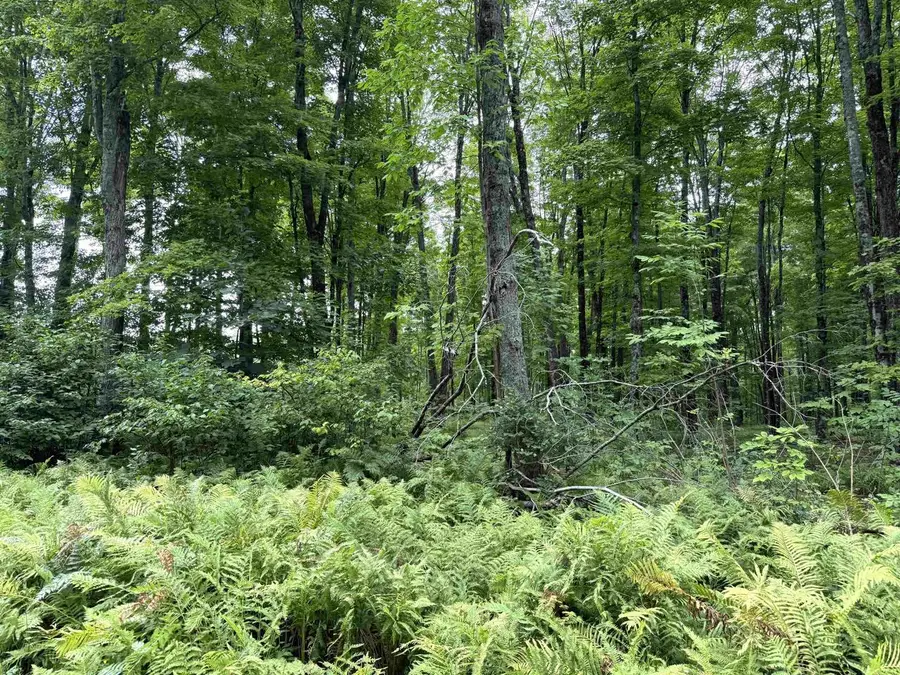 SPORTSMAN ROAD, Goodman, WI 54125 - #2