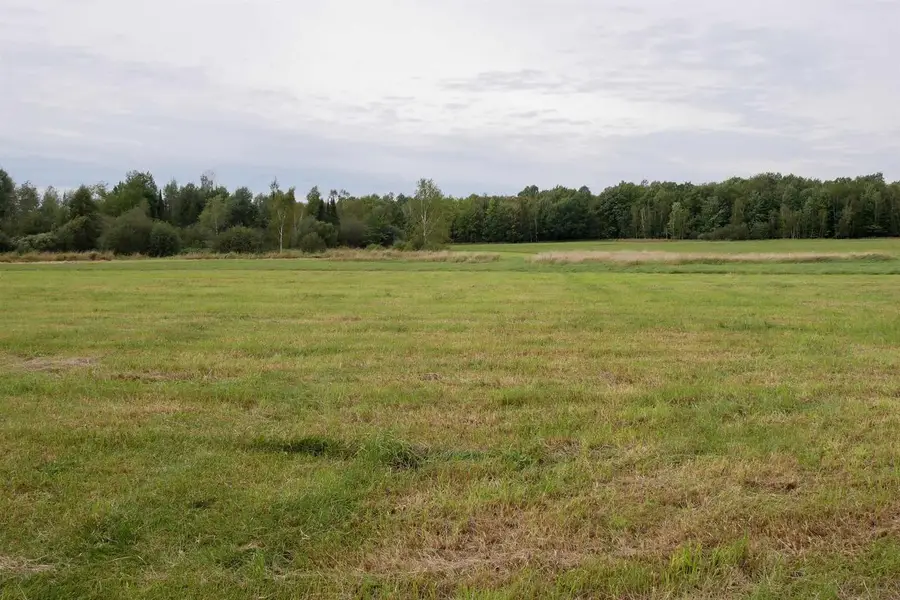 +/-36.29 Acres ORIOLE DRIVE, Medford, WI 54451 - #3