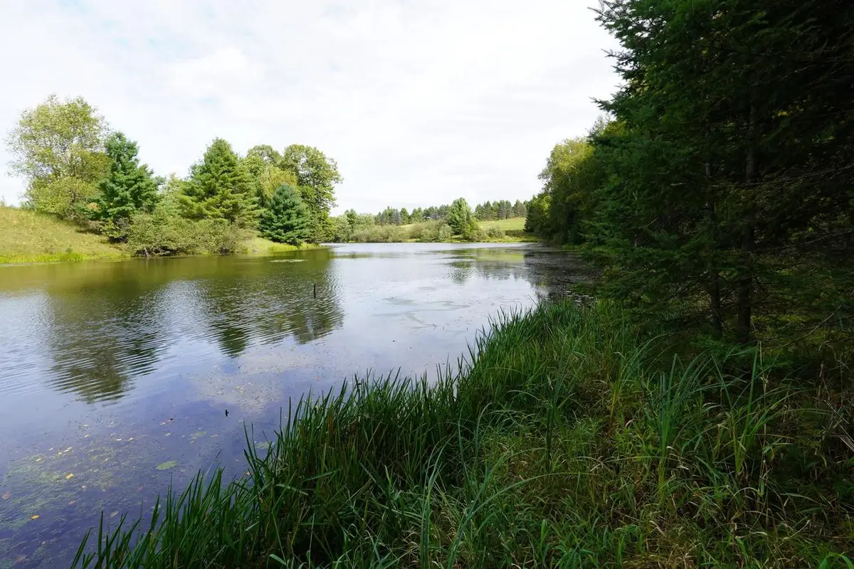 +/-3.17 Acres KEYES AVENUE, Medford, WI 54451 - #1