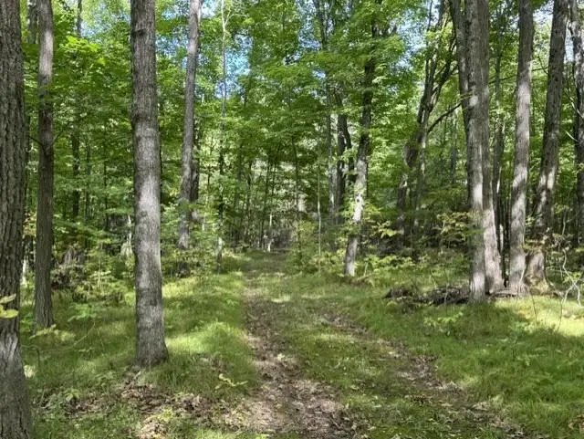 00 COUNTY ROAD K, Irma, WI 54442 - #1