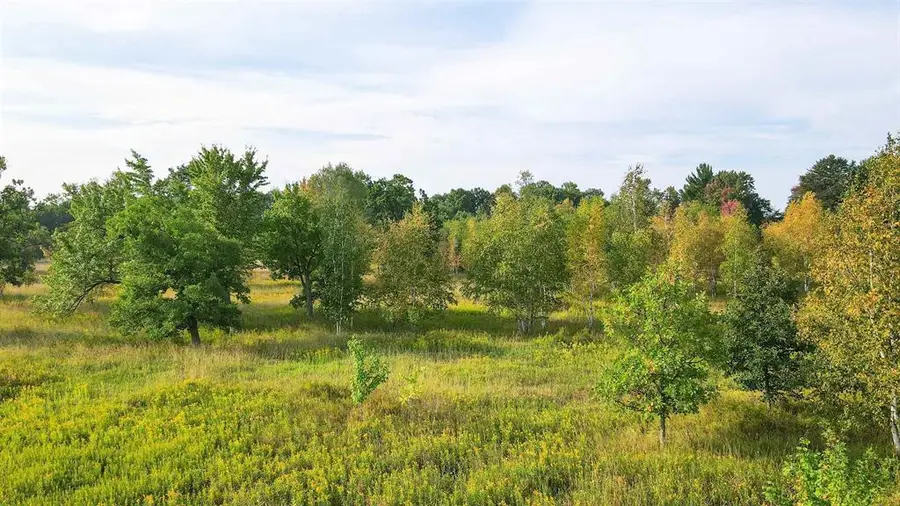 40 Acres COUNTY ROAD II, Rudolph, WI 54475 - #2