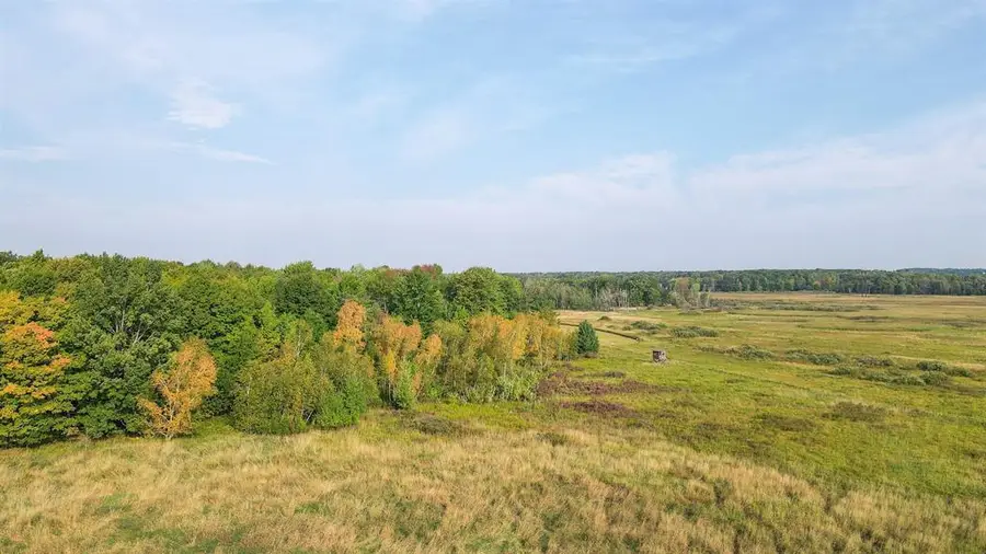 40 Acres COUNTY ROAD II, Rudolph, WI 54475 - #3