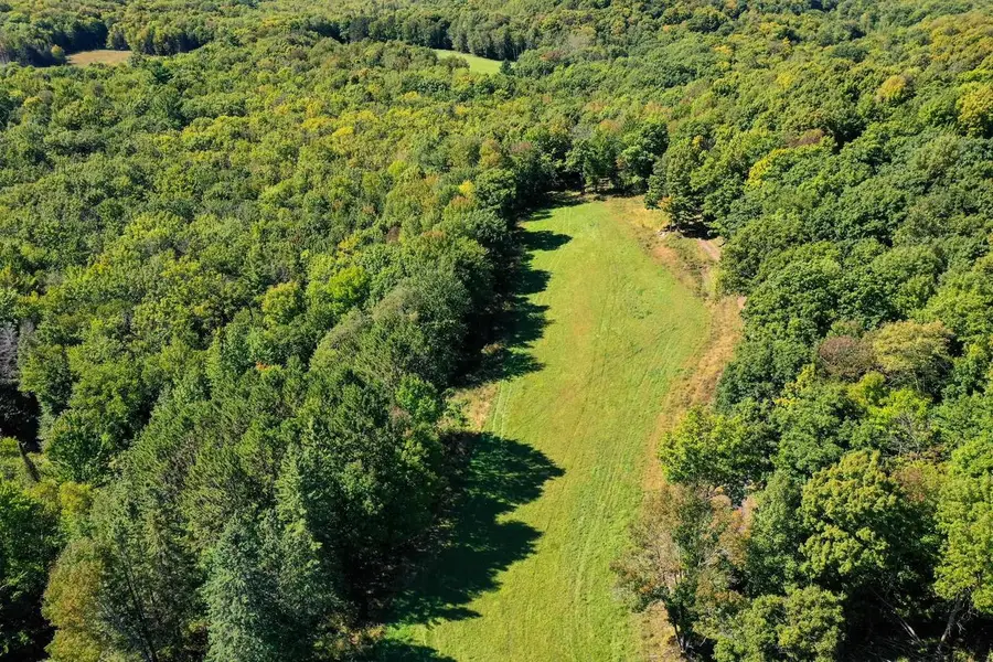 55.55 Acres BRUSH CREEK ROAD, Medford, WI 54451 - #2