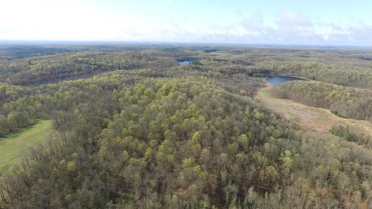 W10937 Red Wine Road, Medford, WI 54451 - #1