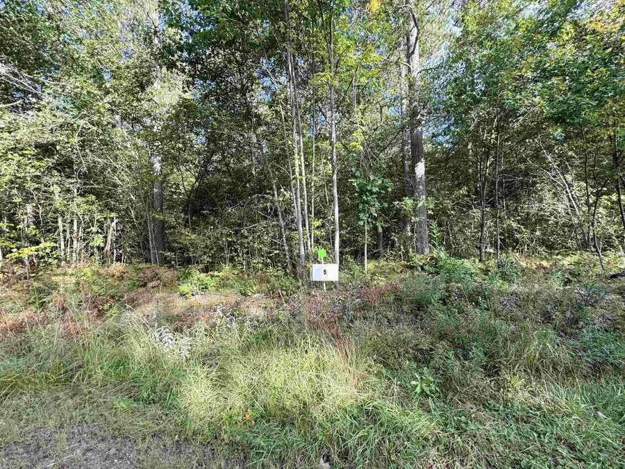 Lot 5 SCOUT ROAD, Mosinee, WI 54455 - #3