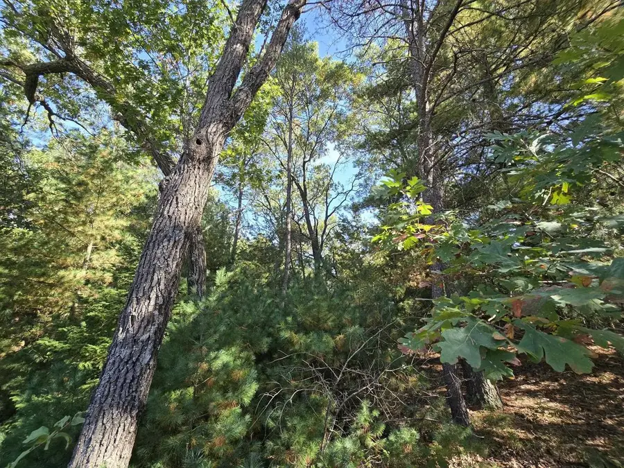 On LEONA STREET #Lot 20/21, Friendship, WI 53934 - #2