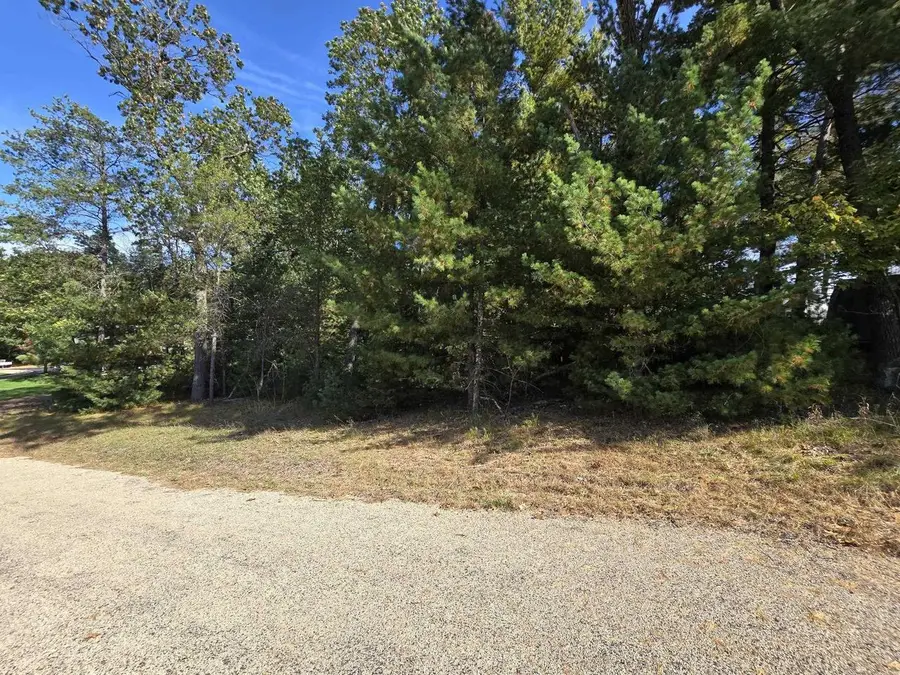On LEONA STREET #Lot 20/21, Friendship, WI 53934 - #3
