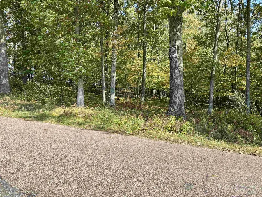 Lot 1 BRANDT ROAD #Parcel #07 33 31, Iola, WI 54945 - #2