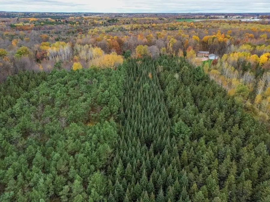 00 LAND ART ROAD, Wausau, WI 54403 - #2