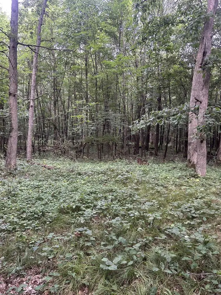 JENSEN ROAD, Waupaca, WI 54981 - Image #3