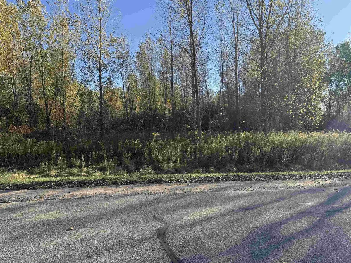 WILLOW WOOD STREET, Shawano, WI 54929 - Image #1