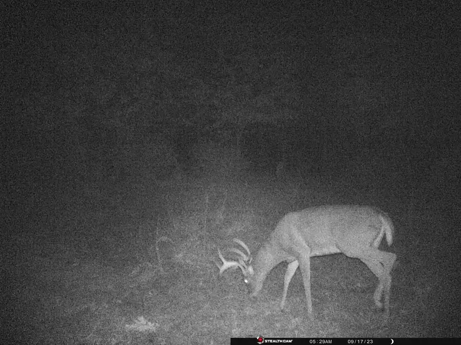 731 E SOUTH LAKE STREET, Hancock, WI 54943 - Image #3