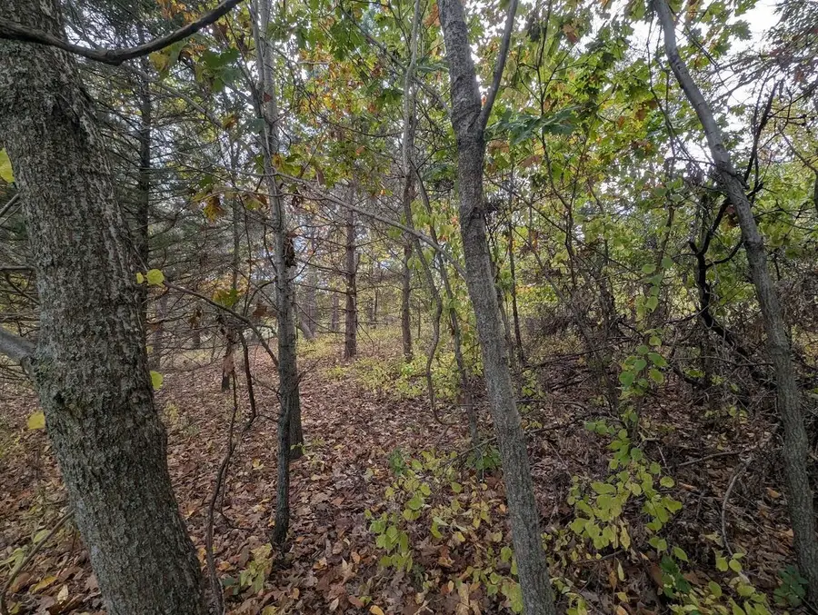 COUNTY ROAD CC, Green Lake, WI 54941 - Image #2