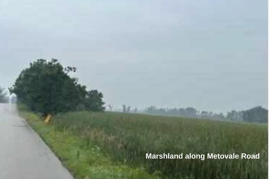 N5952 METOVALE ROAD, Brandon, WI 53919 - Image #2