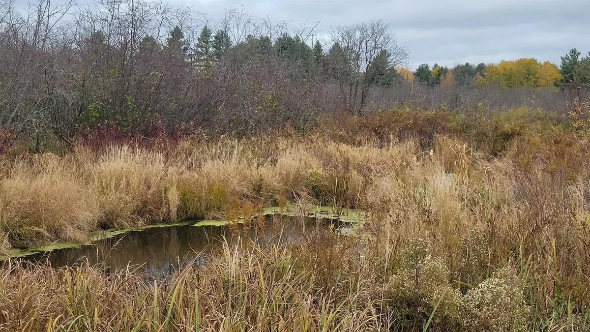 COUNTY HIGHWAY J, Kennan, WI 54537 - Image #1