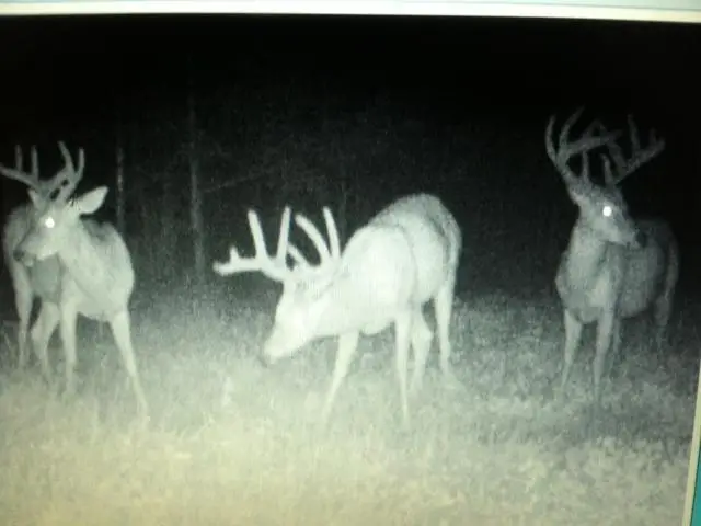 W12381 COUNTY RD GG, Iola, WI 54945 - Image #2