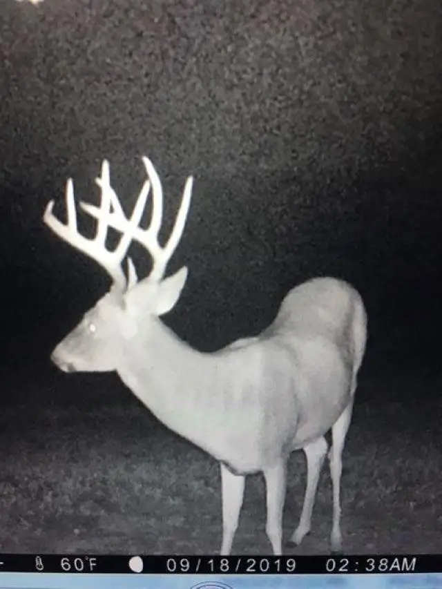 W12381 COUNTY RD GG, Iola, WI 54945 - Image #3