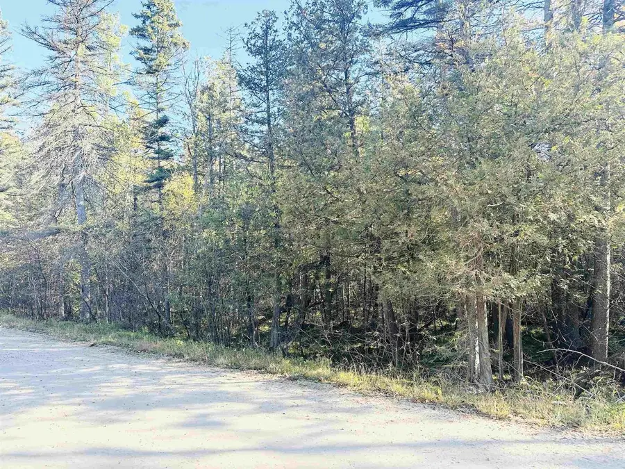 KOSS ROAD, Lake, MI 49858 - Image #2