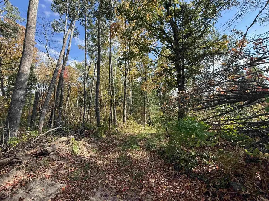 HWY 52, Lily, WI 54491 - Image #2