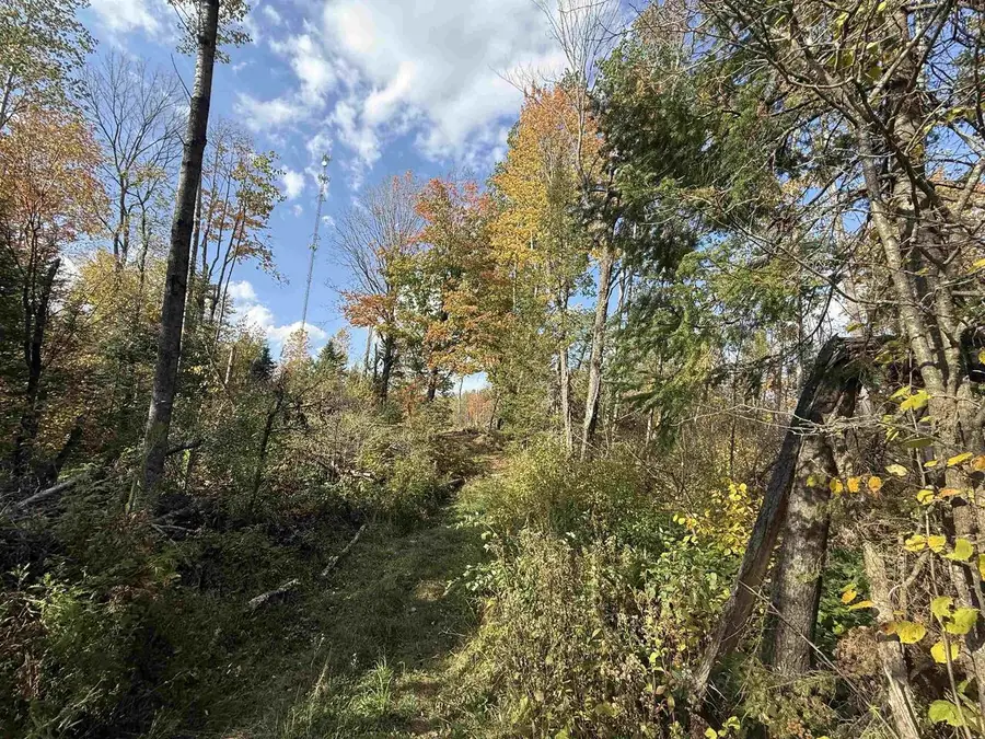 HWY 52, Lily, WI 54491 - Image #3