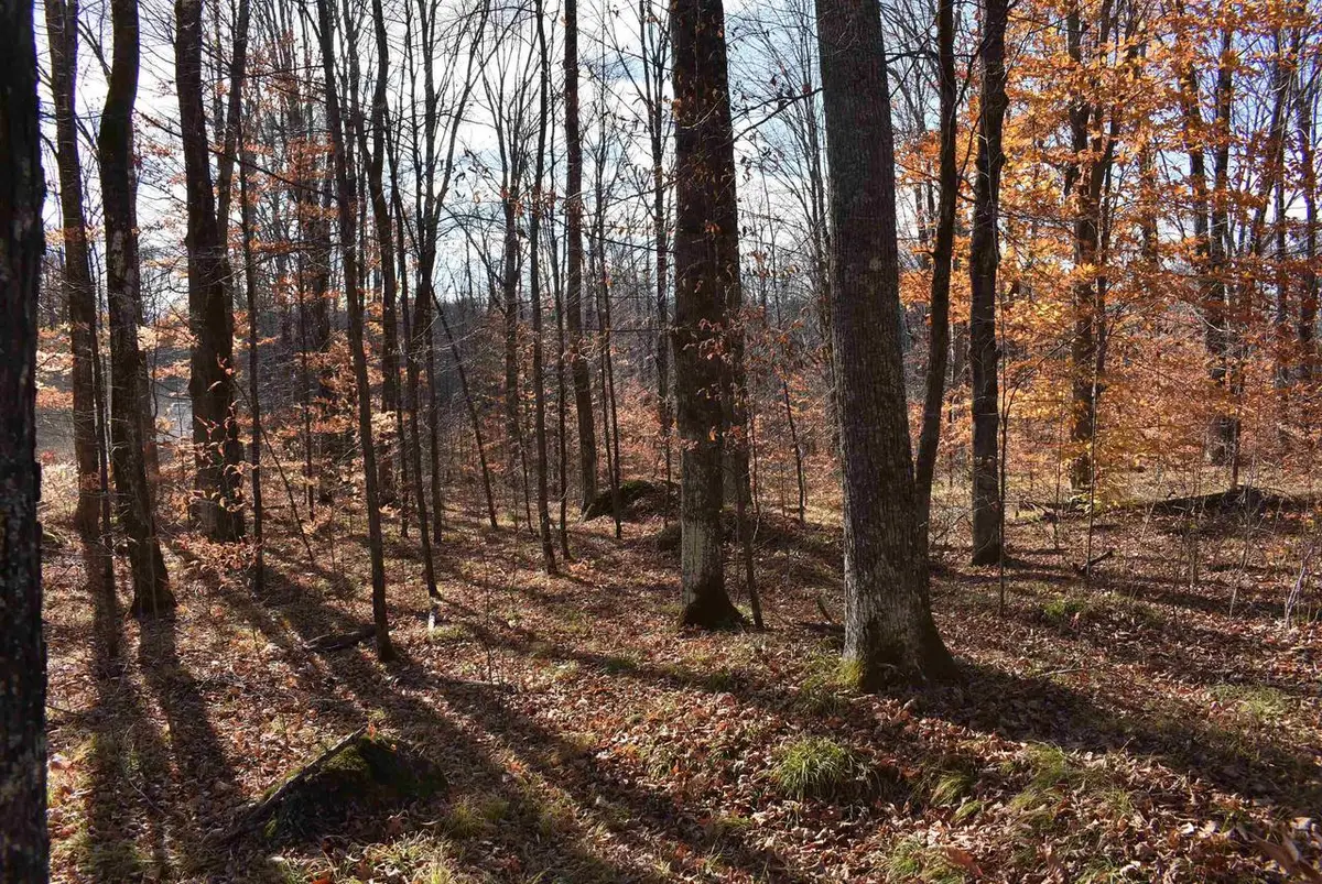 N13315 HARPER ROAD, Athelstane, WI 54104 - Image #1