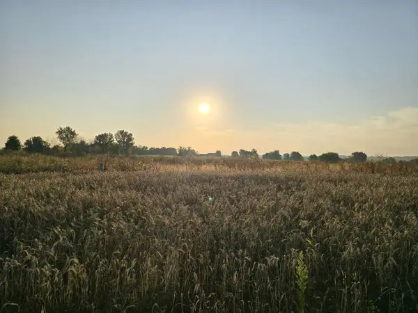 JACLYN LANE, Greenville, WI 54942