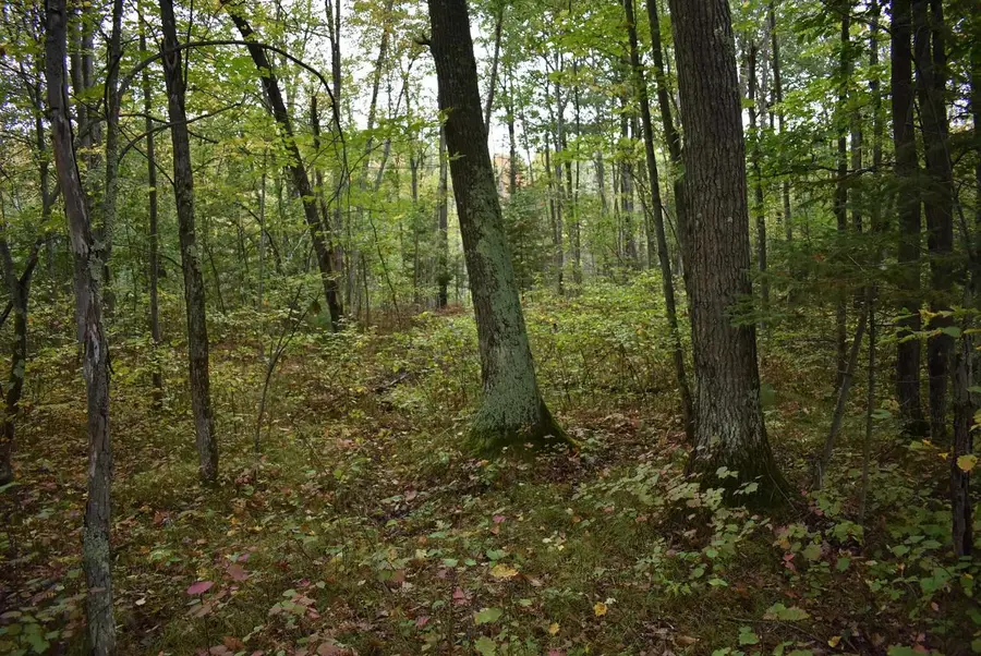 BARNES LAKE ROAD, Dunbar, WI 54119 - Image #2