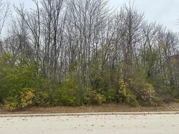 SPICEWOOD COURT, Wrightstown, WI 54180