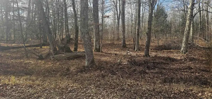 CHIP N DALE DRIVE, Pickerel, WI 54465 - Image #3