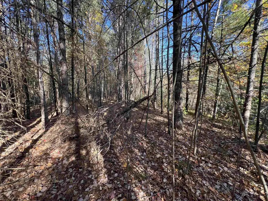 COLE SCHOOL ROAD, Pembine, WI 54156 - Image #2