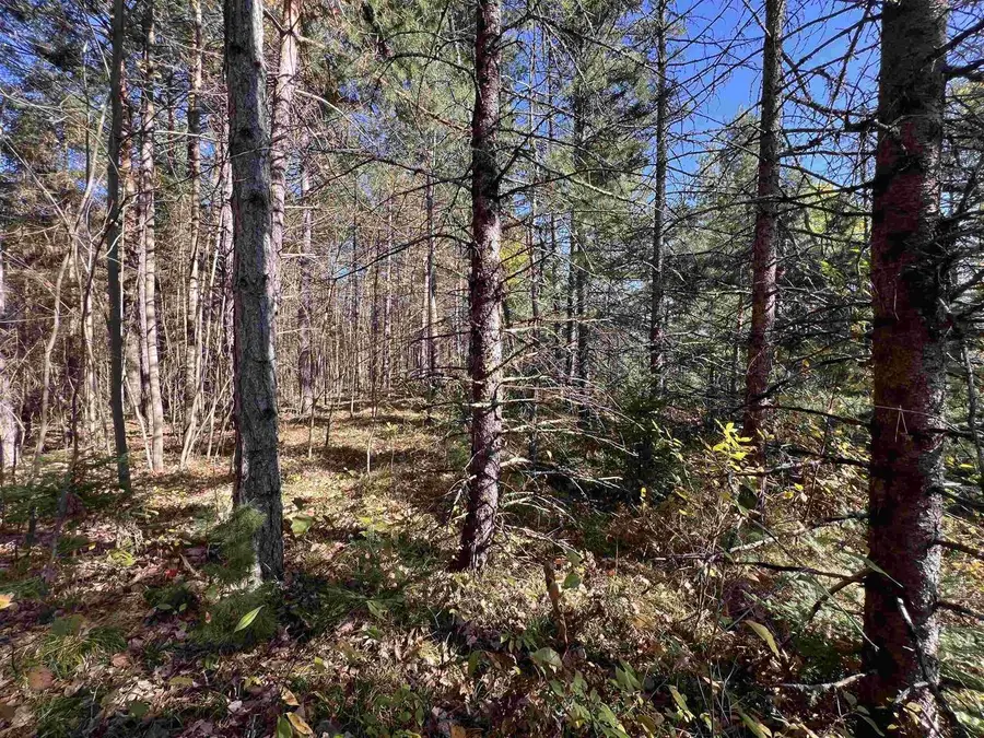 COLE SCHOOL ROAD, Pembine, WI 54156 - Image #3