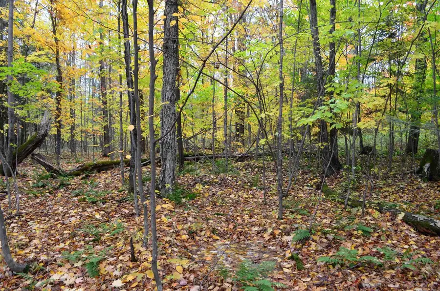 PETERSON ROAD, Gleason, WI 54435 - Image #2