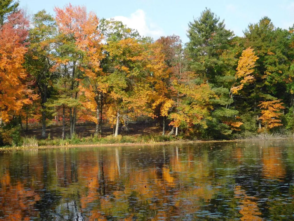 W606 JOE JOHNSON ROAD, Suring, WI 54174 - Image #1