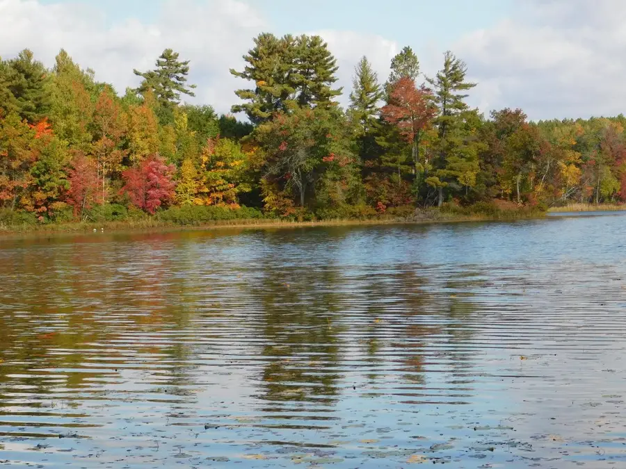 W606 JOE JOHNSON ROAD, Suring, WI 54174 - Image #2