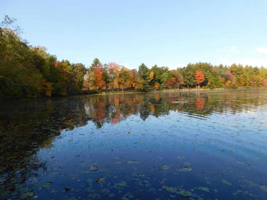 W606 JOE JOHNSON ROAD, Suring, WI 54174 - Image #3