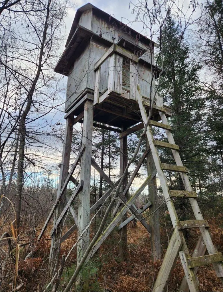 N18104 PERCH LAKE ROAD, Pembine, WI 54156 - Image #2