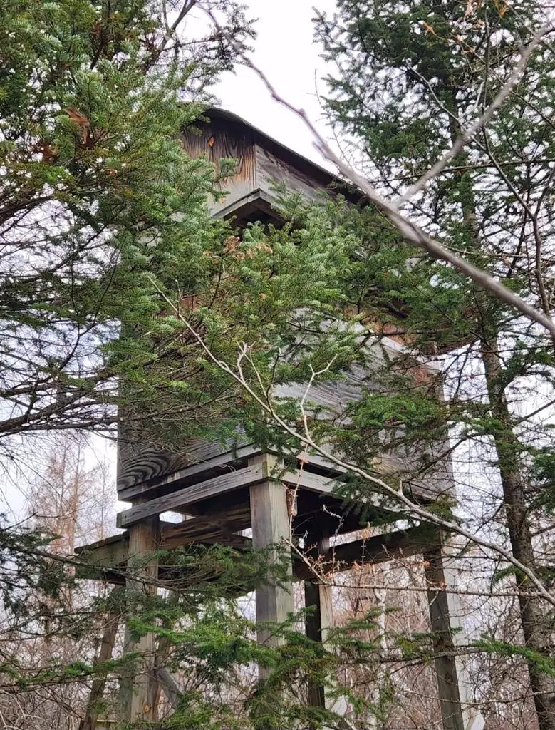 N18104 PERCH LAKE ROAD, Pembine, WI 54156 - Image #3