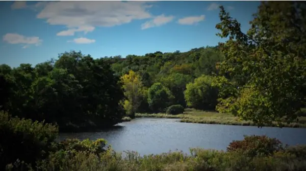 W16393 CRANE LAKE LANE, Athelstane, WI 54104