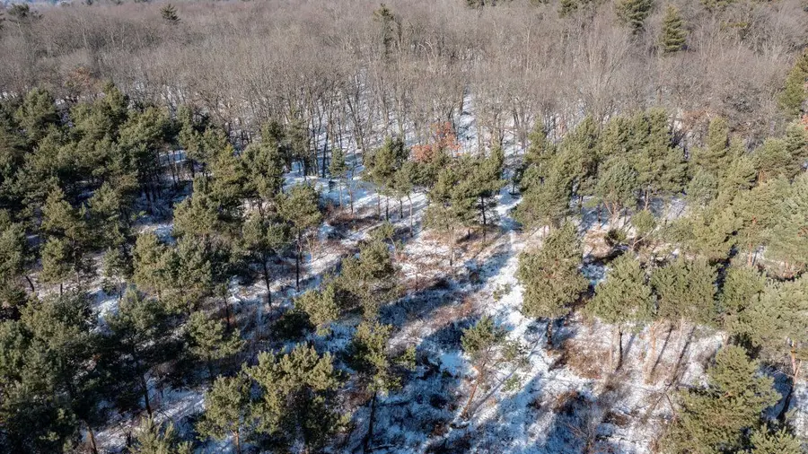 COUNTY RD Y, Clintonville, WI 54929 - Image #3