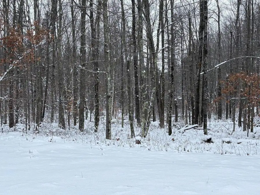 W13470 EAGLE RIVER ROAD, Silver Cliff, WI 54104 - #2